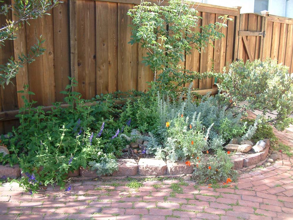 Wavy Bedding Plant Border