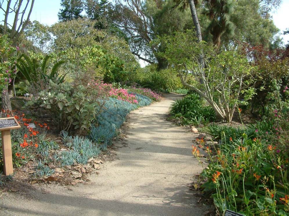 Path Through Woodland