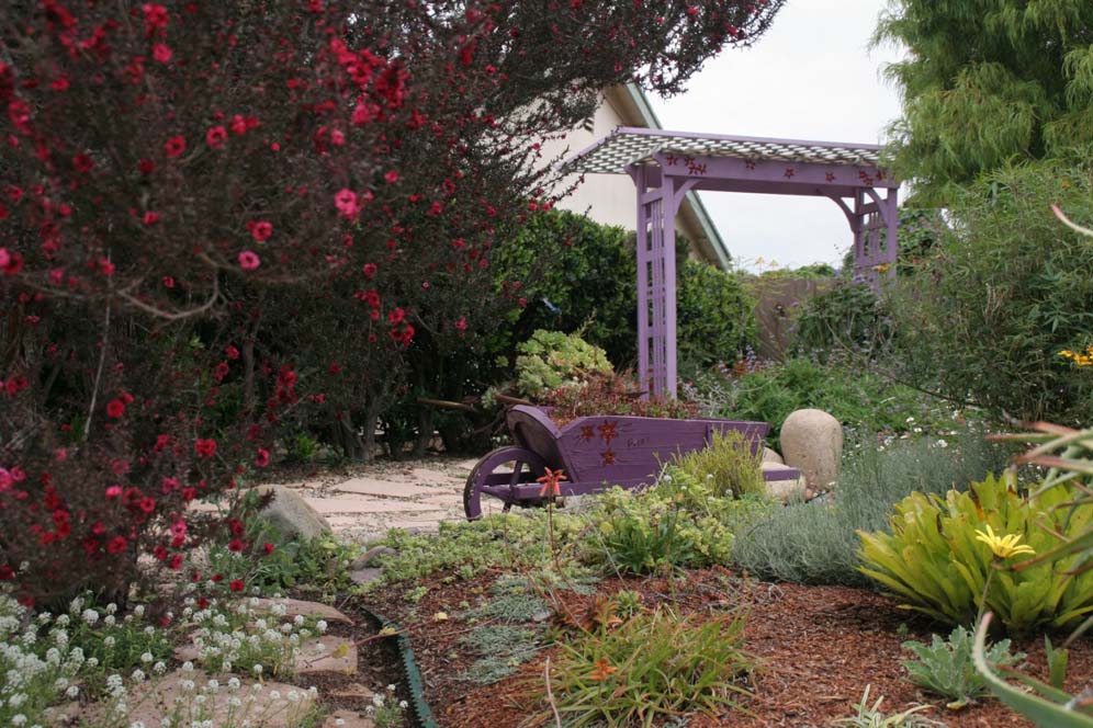 Purple Wheelbarrow