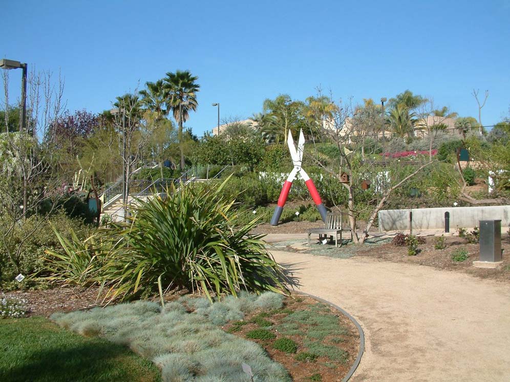 Ground Covers Near Maintenance Area