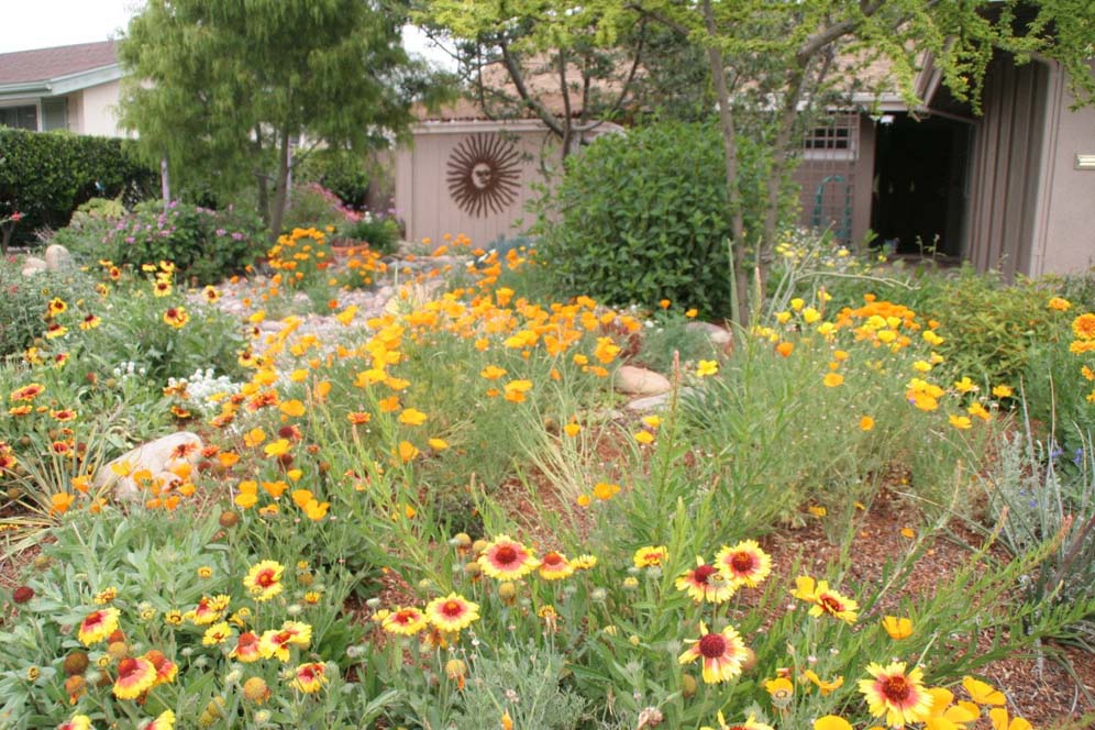 Drifts of Flowers