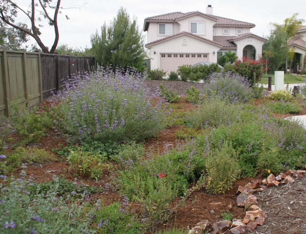 Wispy Lavender Color