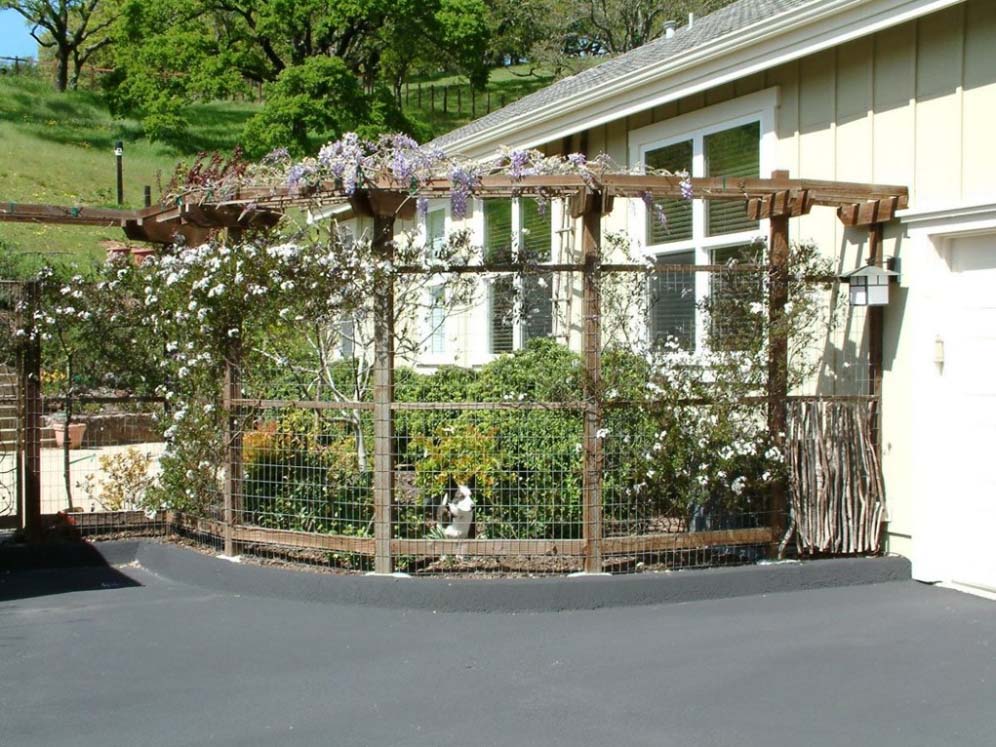 Dog Fencing