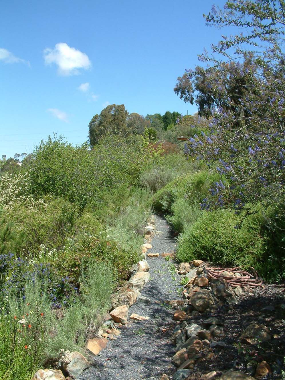 Walkway of Discovery