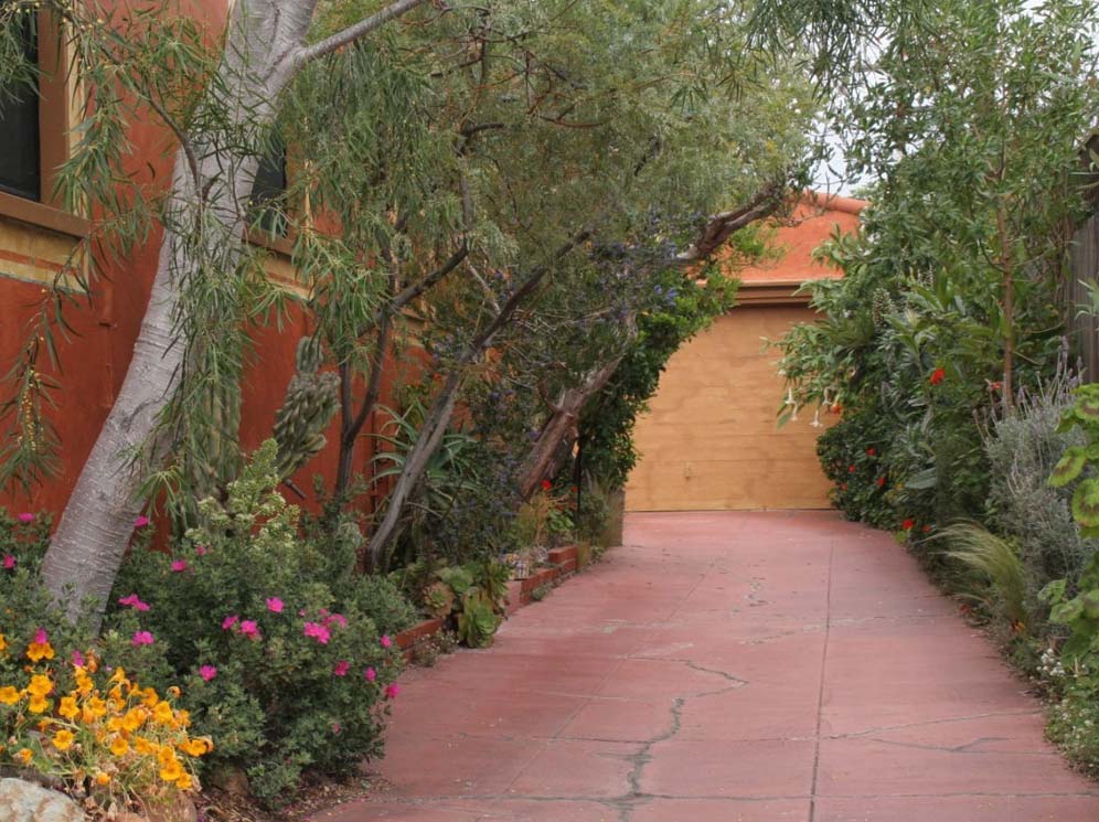 Tree-lined Driveway