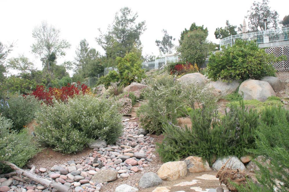 Rolling Hillside of Rocks