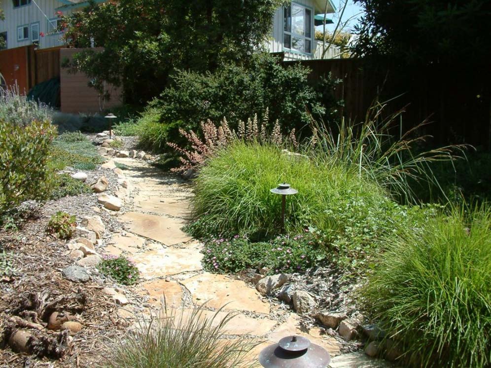 Path Through Meadow