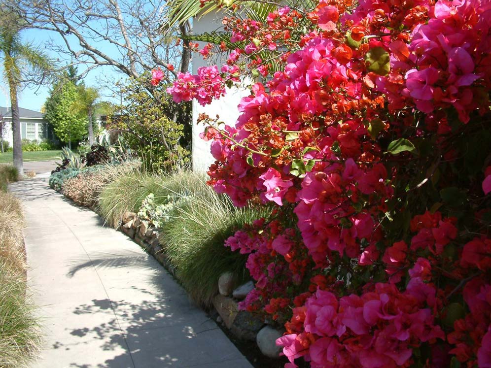 Welcoming Walkway