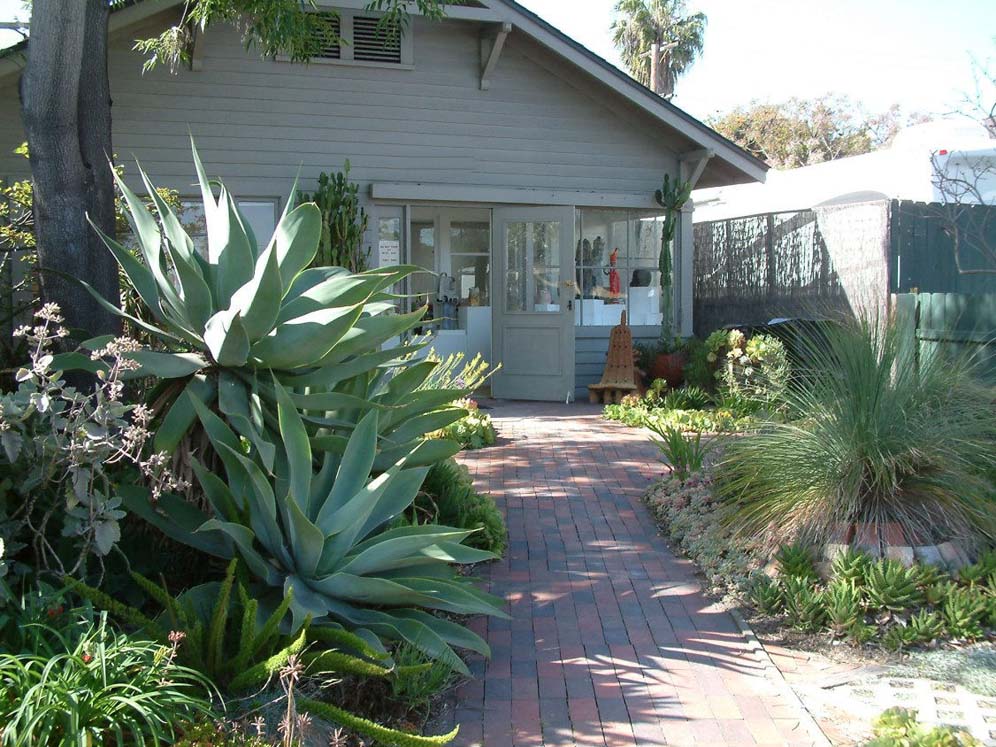 Agave Guards